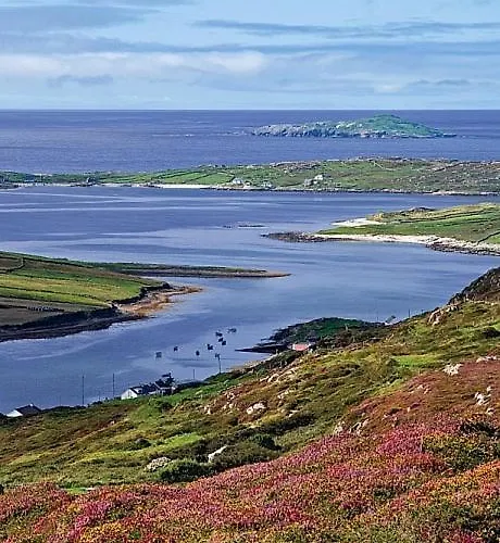 בית נופש 4 Bed In Clifden Oc-i243